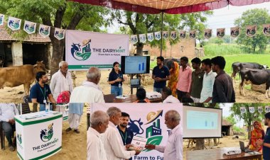Understanding The DairyMint's Modern Dairy Business Model